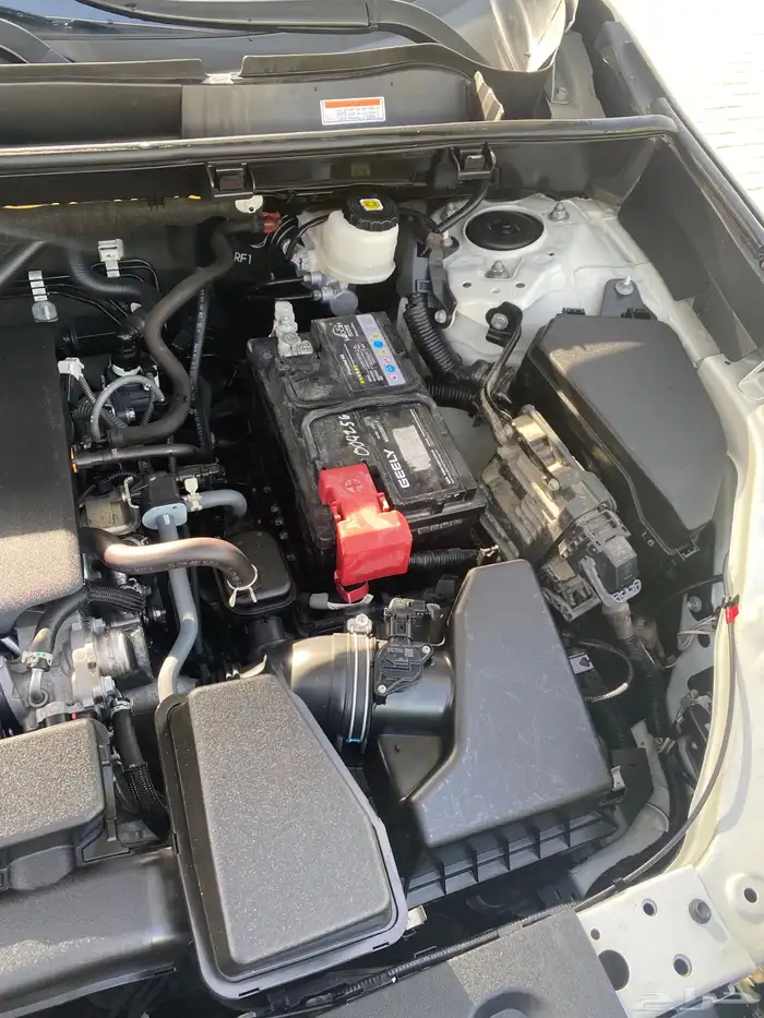 راف فور وكالة ممشى قليل 27