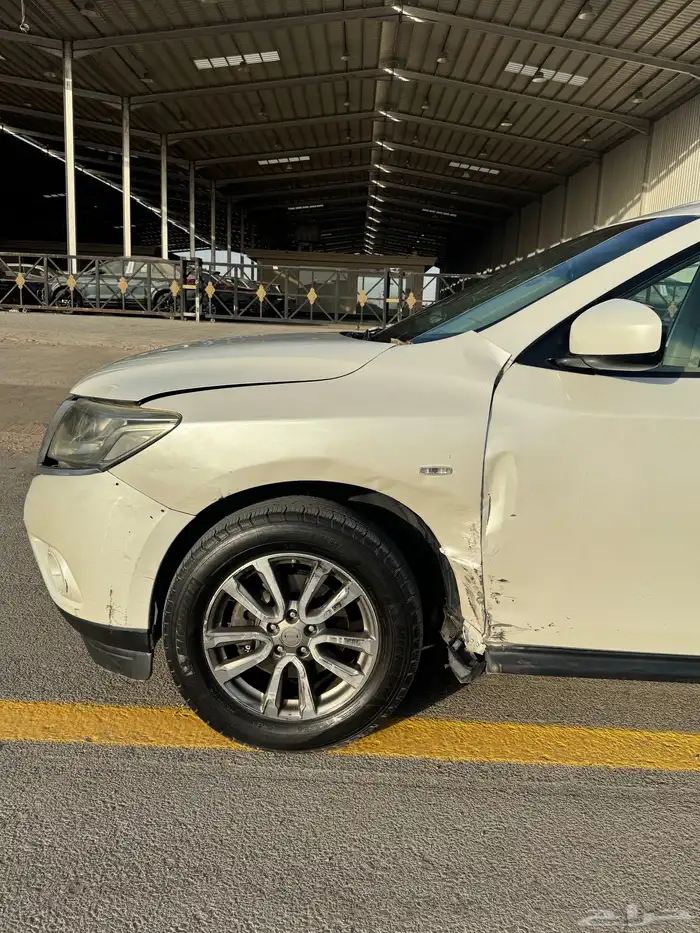 باتفندر 2016 4