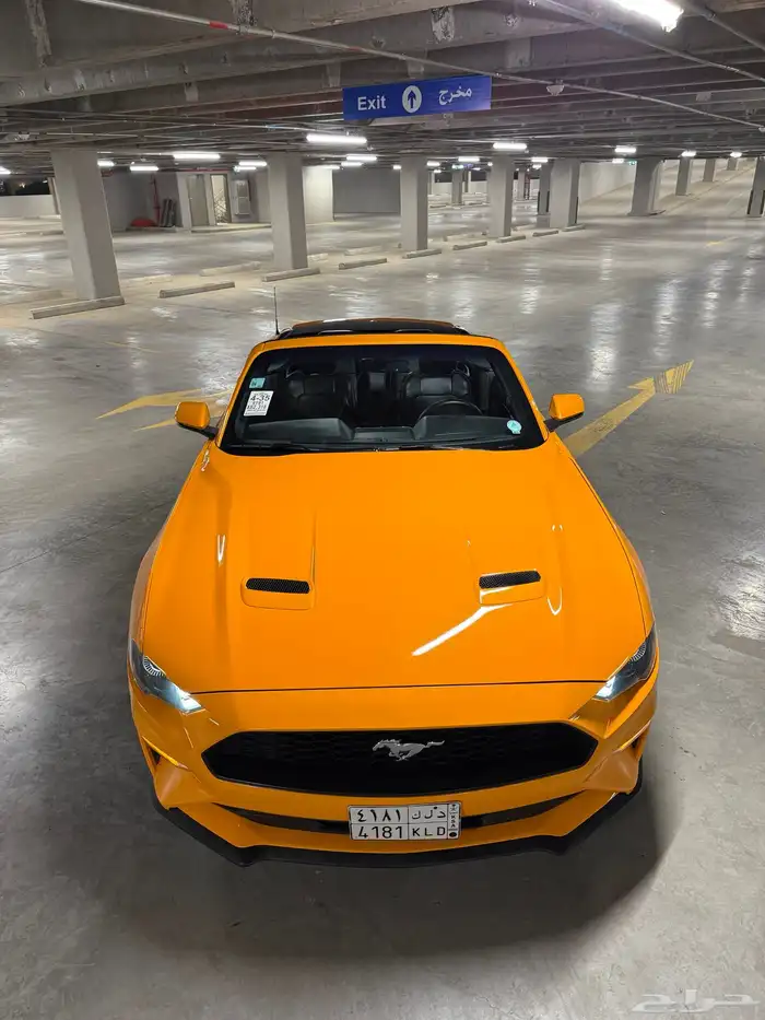 موستنق 2018 ( كشف - فل كامل ) 6