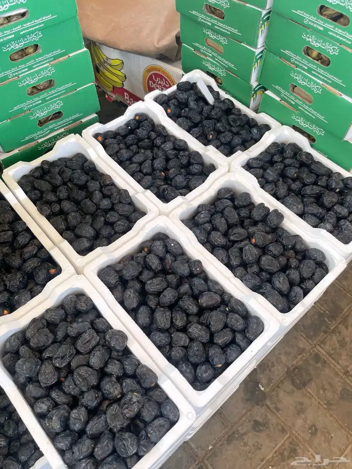 تمر عجوة للبيع 0