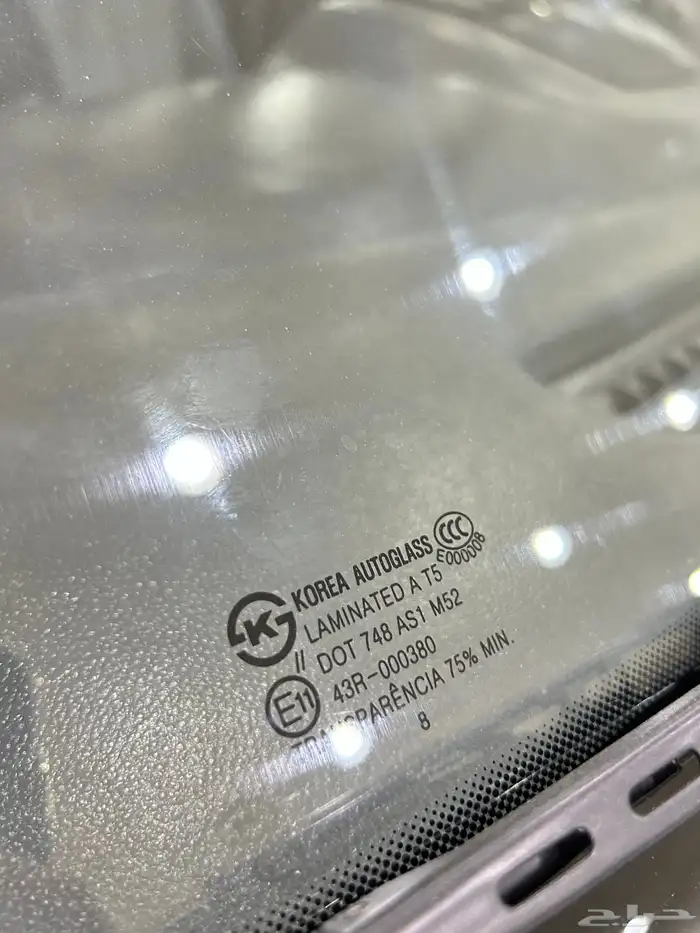 كرنفال 2009 بانزين فل كامل 19