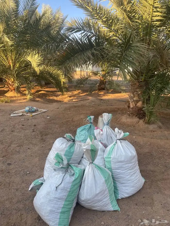 تمر للابل والحيوانات 0