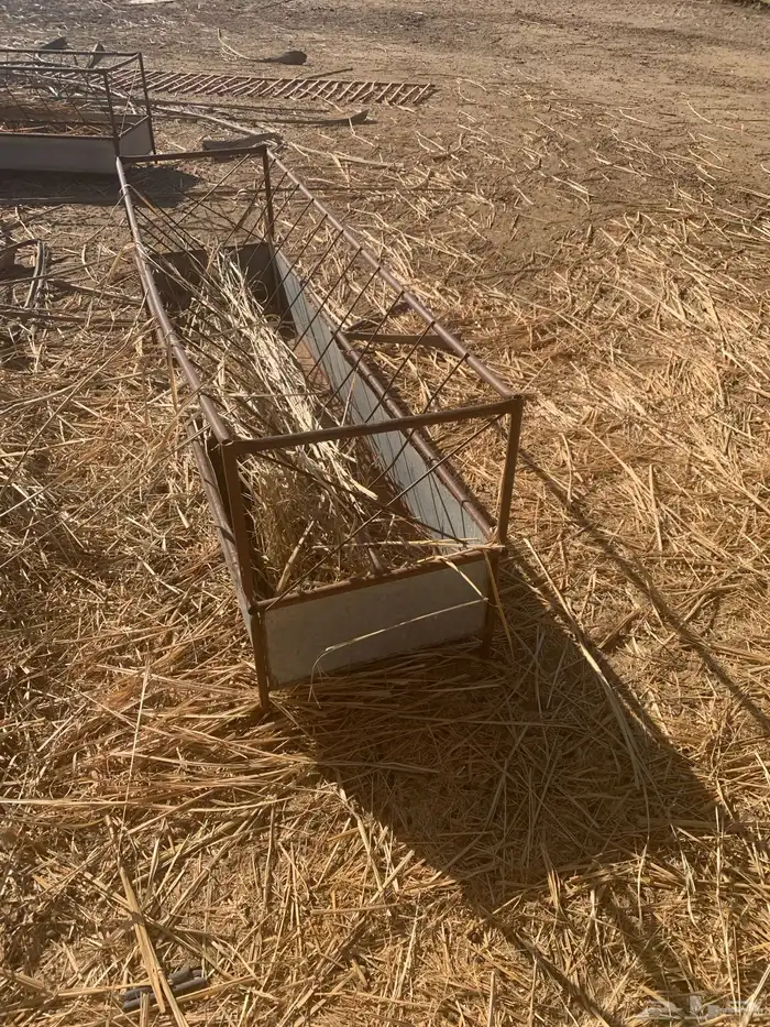 مناقل حلف غنم 1