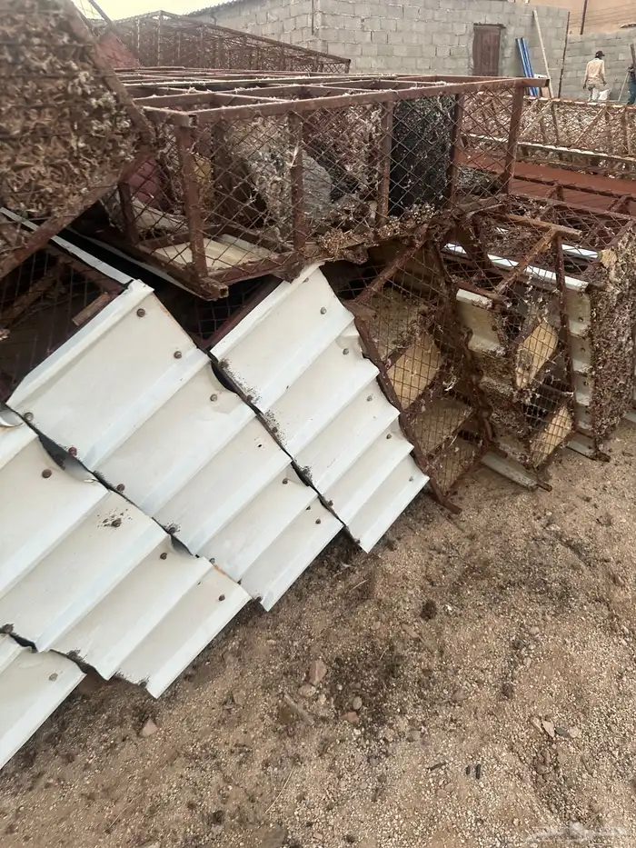 شبوك حمام. مصممه لمشروع 2