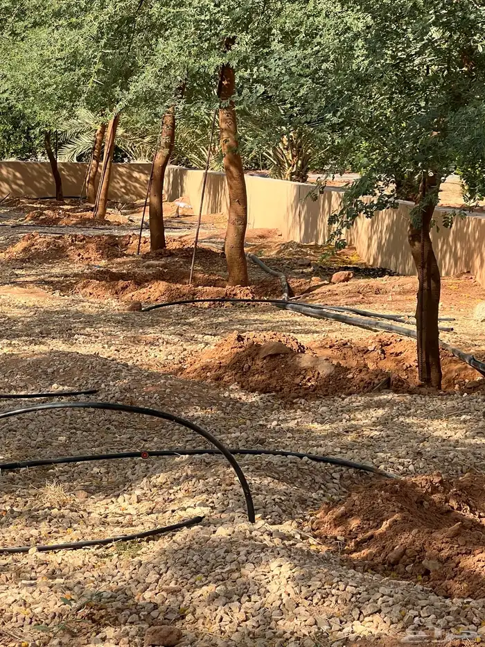 العنوان شقراء 13