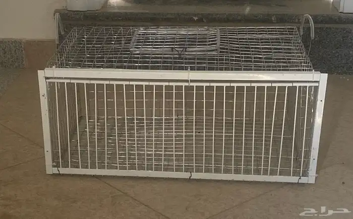 مصيدة حمام 2