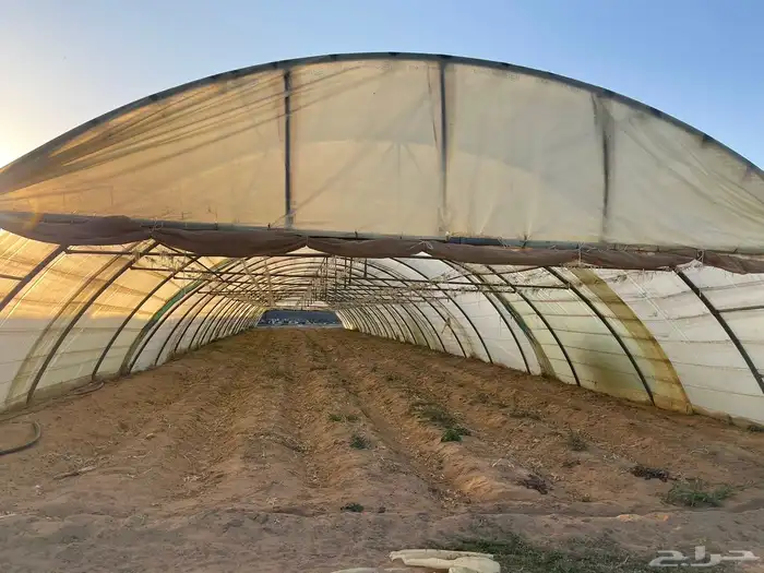 بيوت محمية للايجار في خباش نجران 0