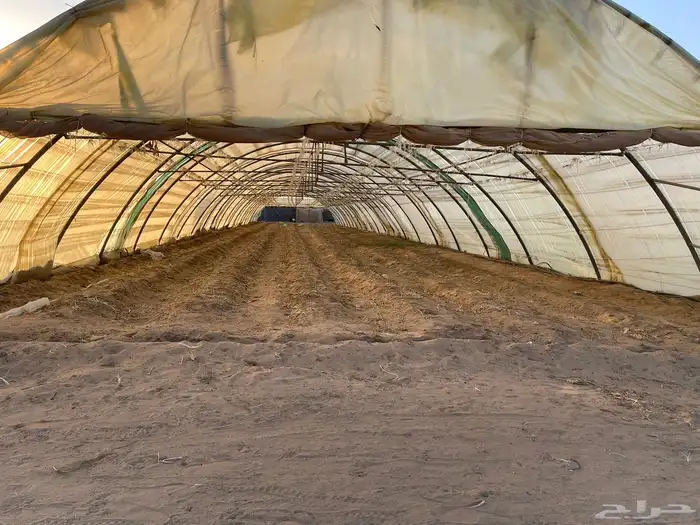 بيوت محمية للايجار في خباش نجران 2