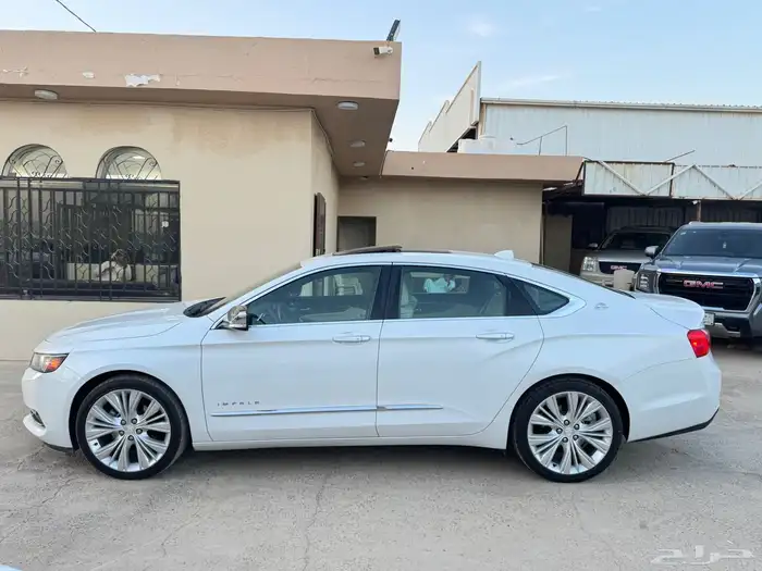 امبالا 2018 بريمير فل كامل سعودي 10