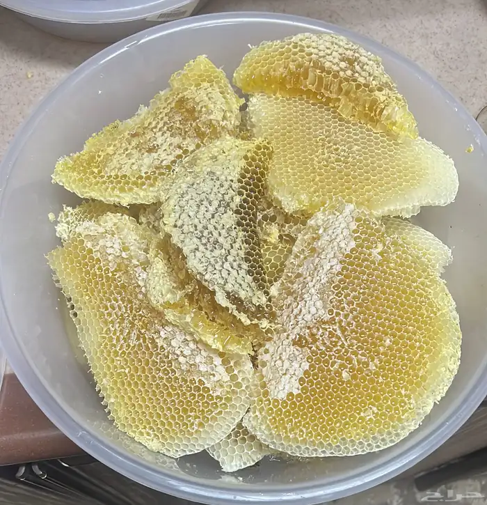 عسل سدر مضمون 0