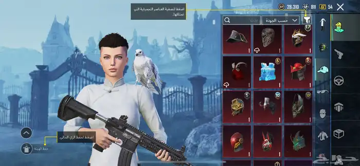 حساب ببجي نادر لتبديل 17