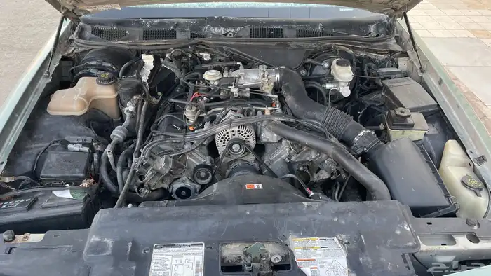 فورد فكتوريا مستعجل 1997 97 31