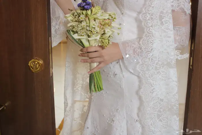 مصورة كاميرا الصور عدد مفتوح 2