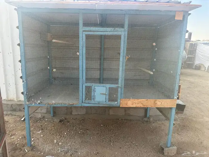 شبك طيور للبيع 1