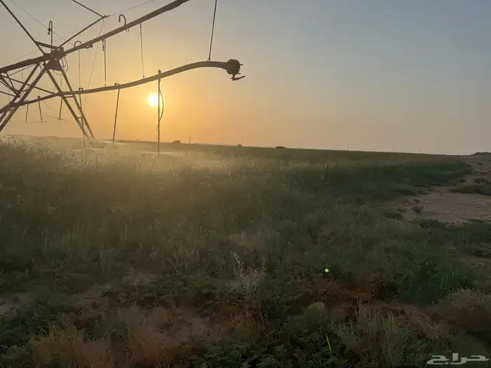 رشاش كهرب وادي الدواسر 5