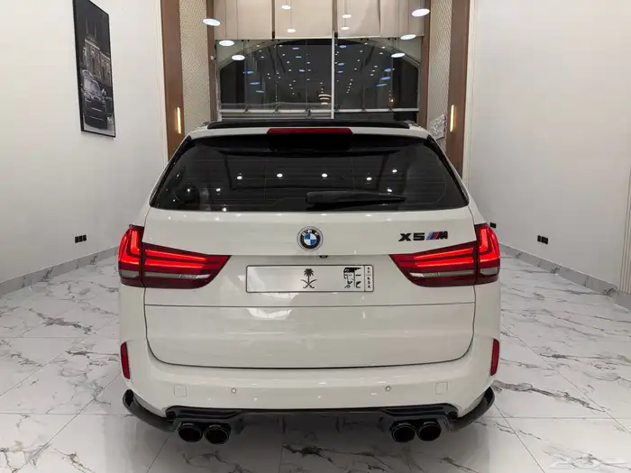 X5 M power performance 2016 7