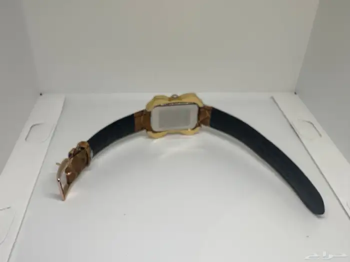 اجمل ساعات السويسرية 69