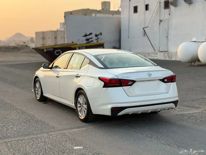 التيما 2020 شد بلد 2