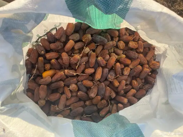 تمر للابل والحيوانات 1