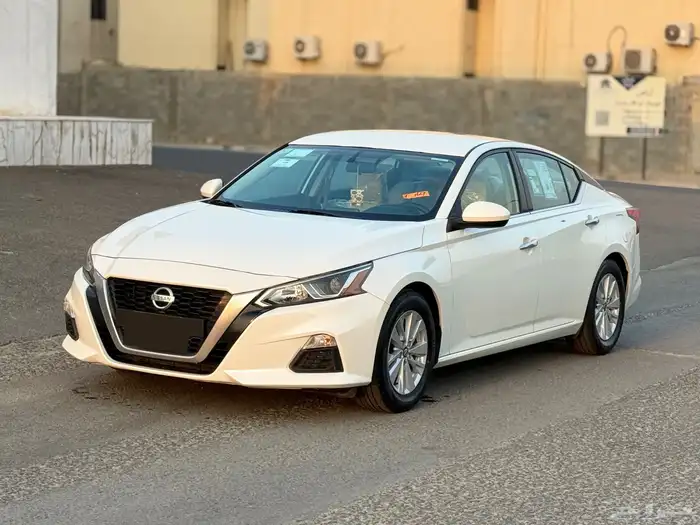 التيما 2020 شد بلد 0