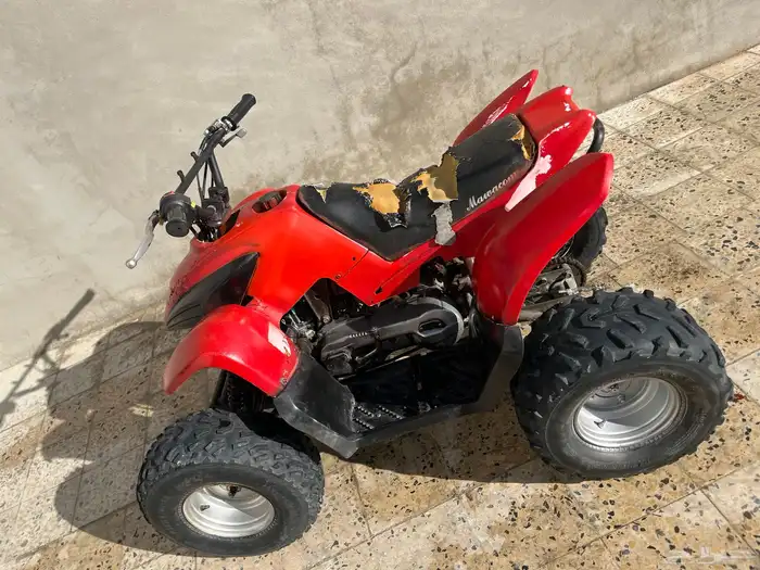 السلام عليكم دباب تيواني ميشكي من شي حجم الدباب 100 3