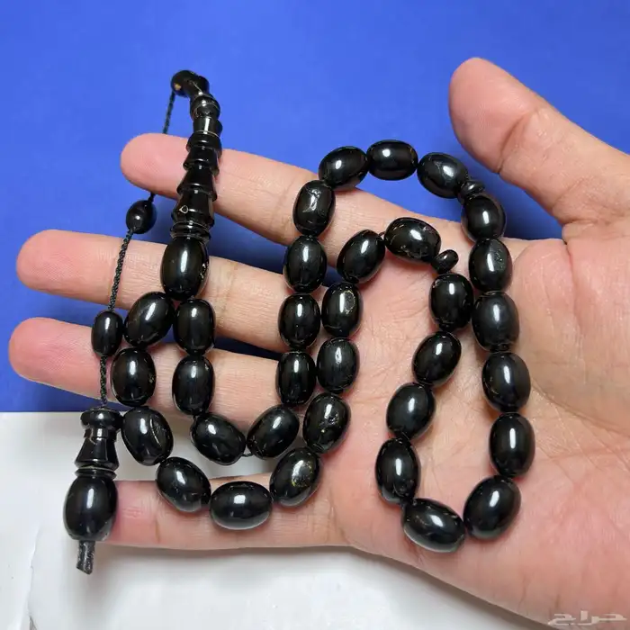 سبحه يسر البحر الأحمر 0