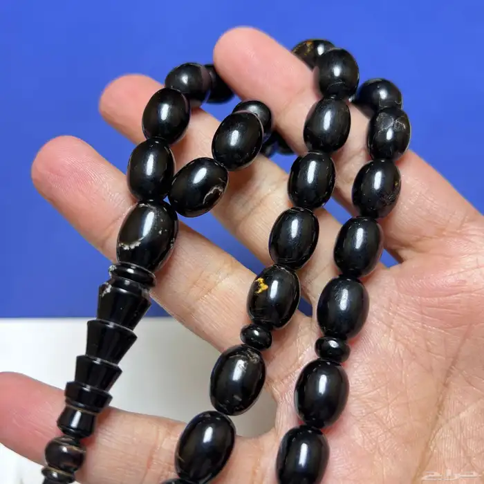 سبحه يسر البحر الأحمر 3