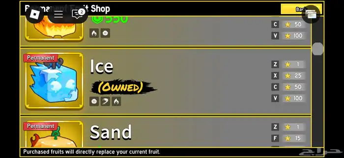 حساب روبلوكس   بلوكس فروت 1