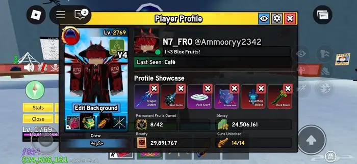 حساب روبلوكس   بلوكس فروت 13