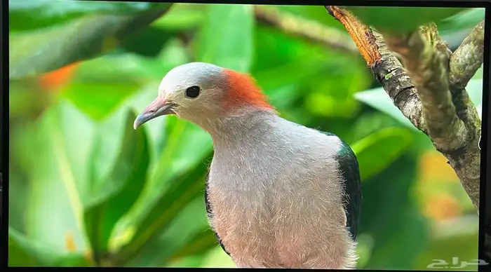 شاشة قيمنق 27 انش gaming FHD 1080 1