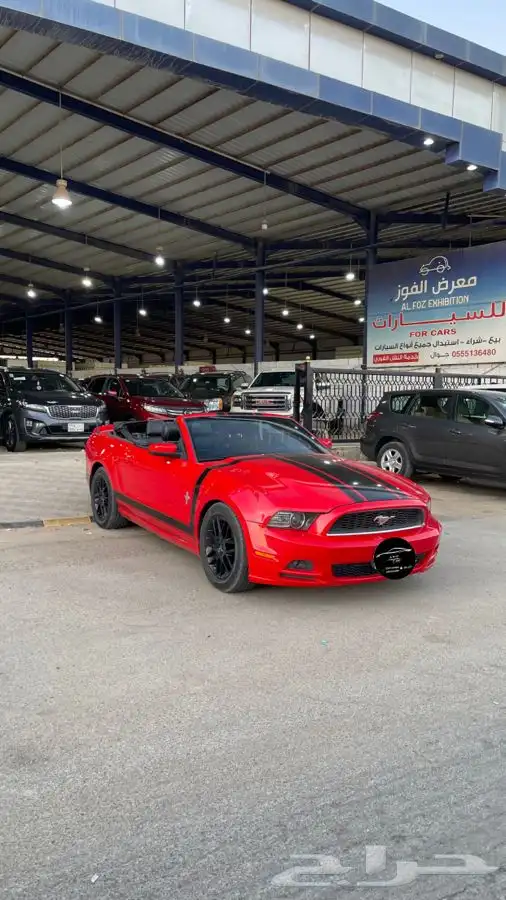 للبيع موستنج 2013 6