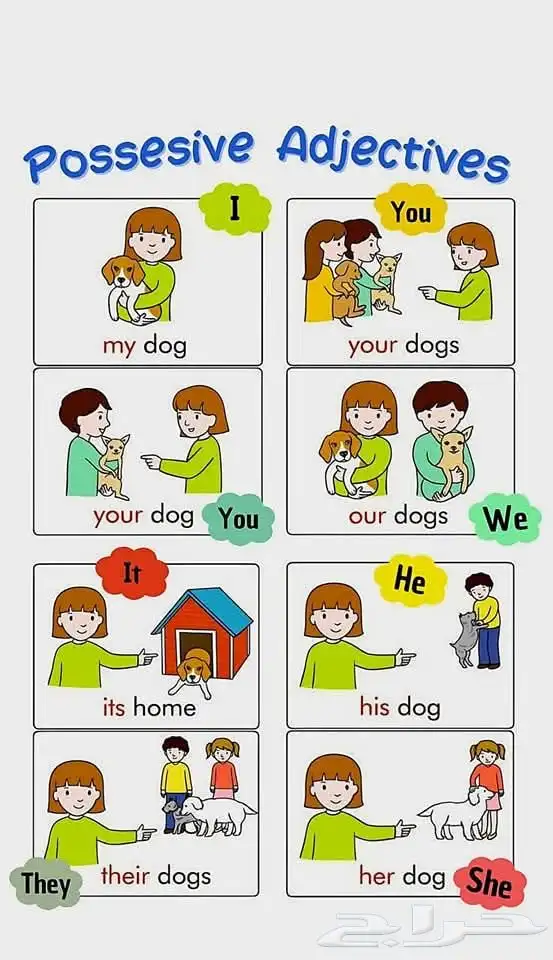 معلمة سودانية تبوك حي الريان 0