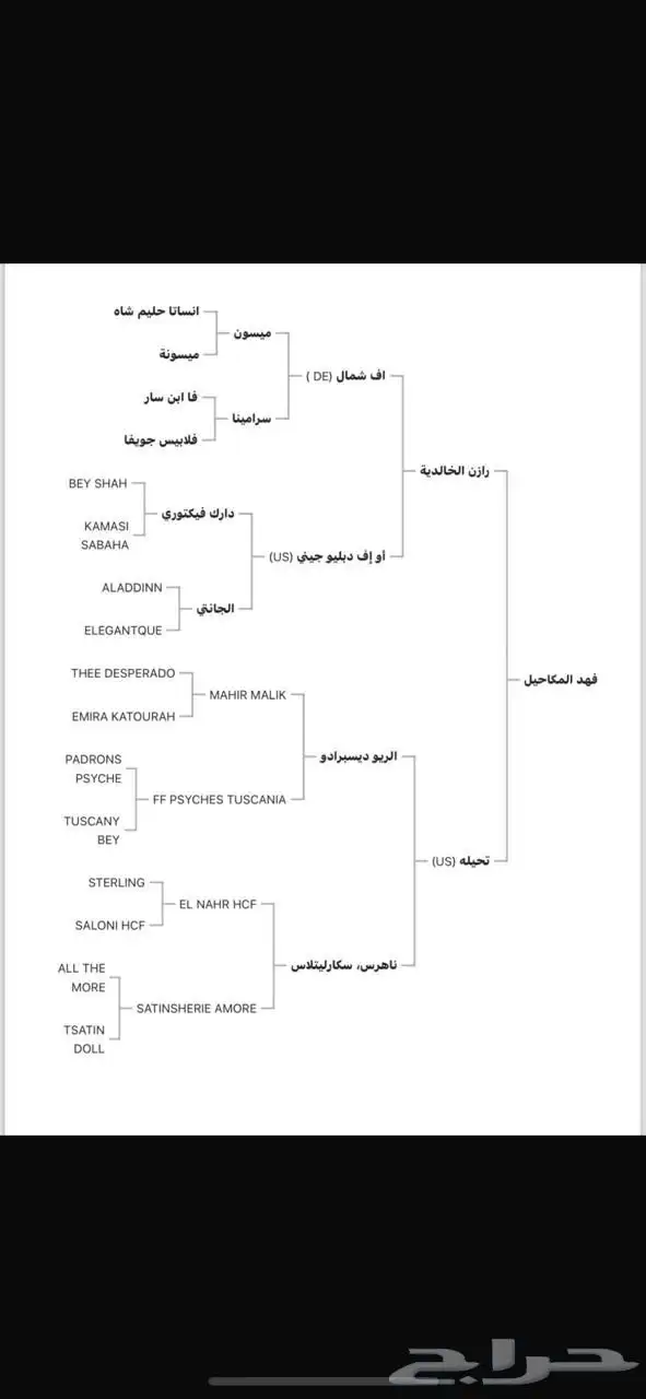 حصان مكس عربي واهو 4