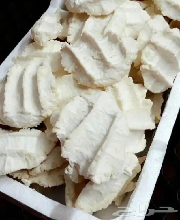 مضير   قط للبيع 2