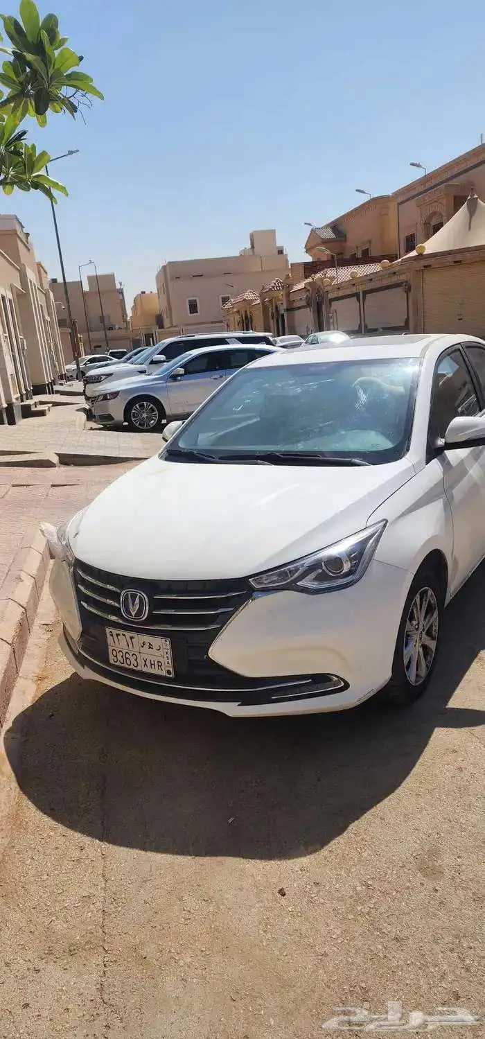 شانجان السفن 2025 ابيض فل كامل 3