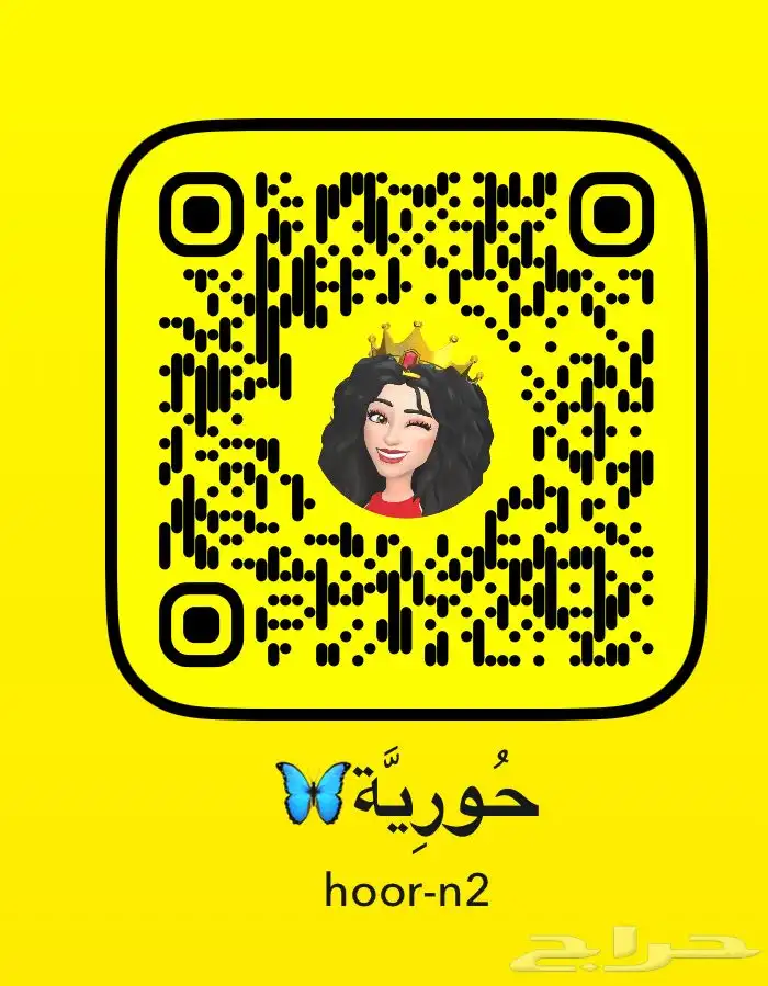 للبيع ببغاء الروز الأليف 13