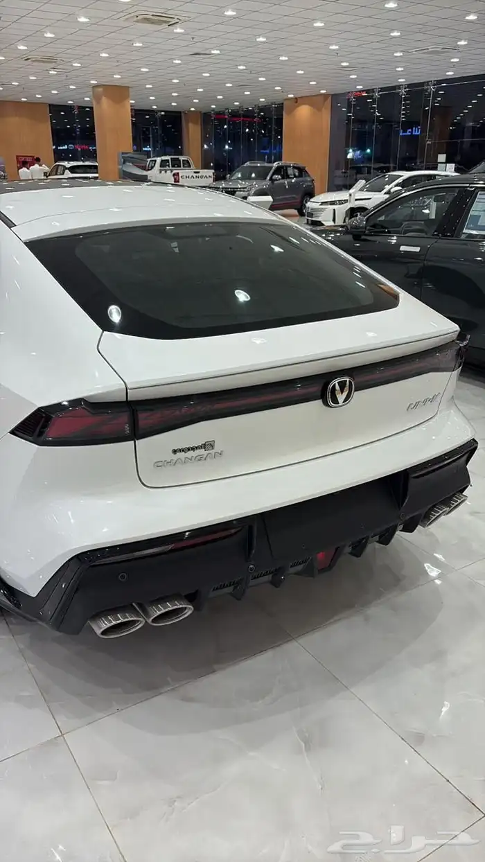 شانجان يوني في 2026 جميع الفئات الحقو عروض نوفمبر 23