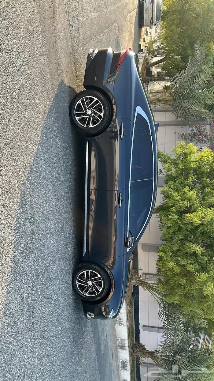 ازيرا 2021 الموقع في الخبر 3