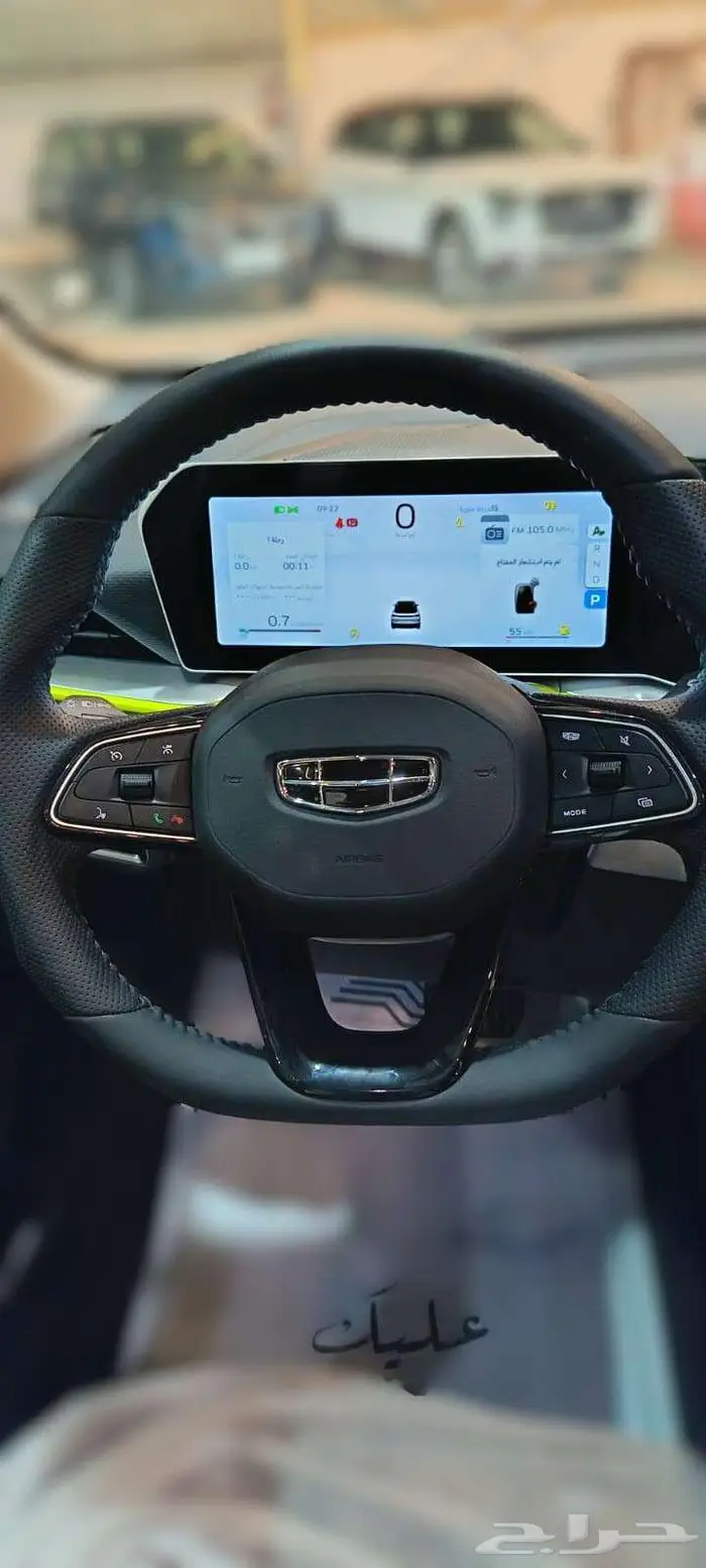 جيلي كولراي نص فل 2025 7