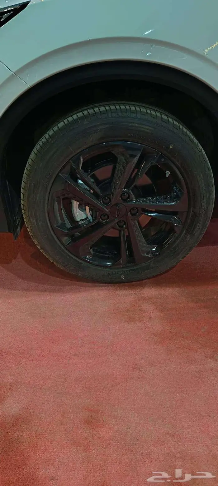 جيلي كولراي نص فل 2025 15