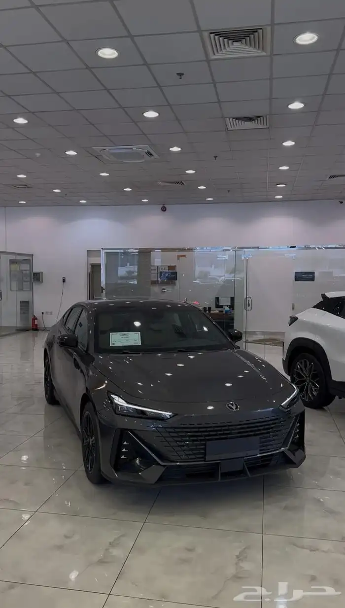 شانجان يوني في عروض نوفمبر م 2026 37