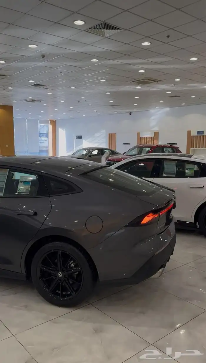 شانجان يوني في عروض نوفمبر م 2026 18