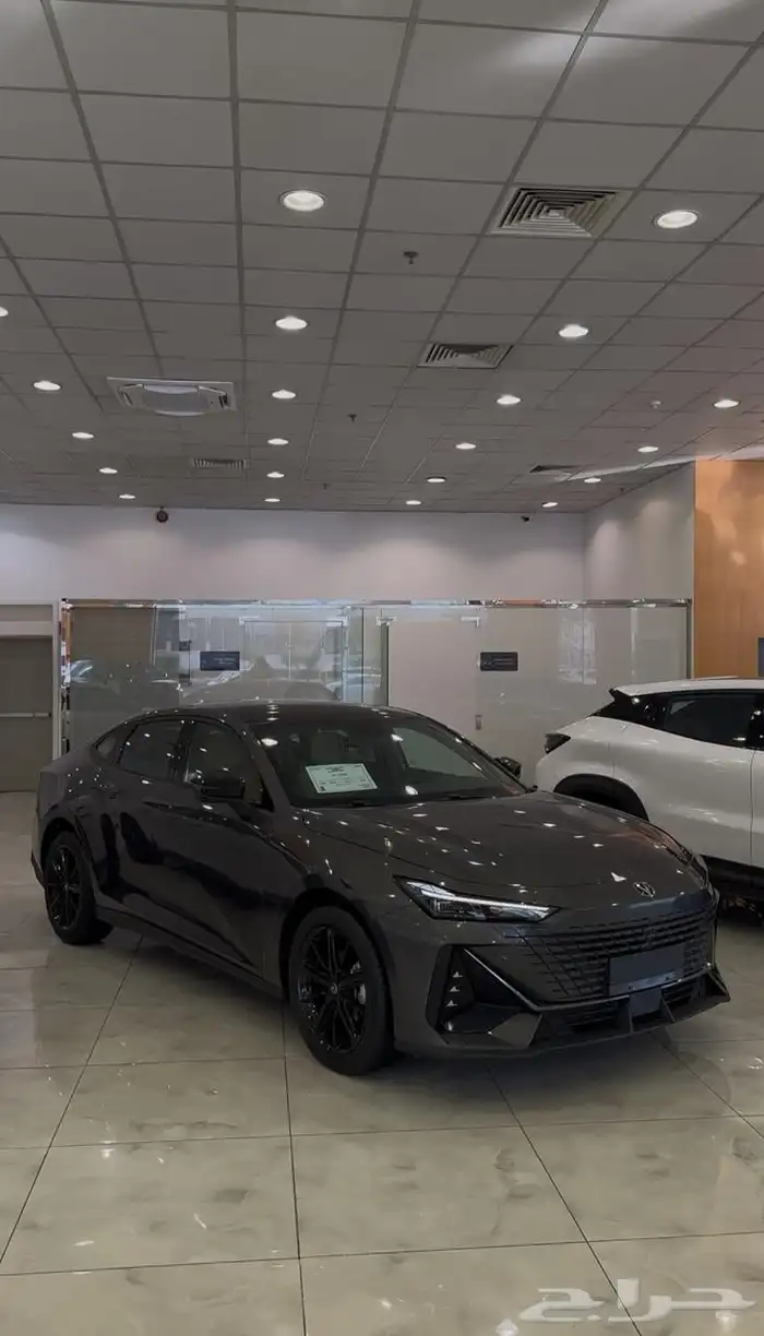 شانجان يوني في 2026 جميع الفئات الحقو عروض نوفمبر 36