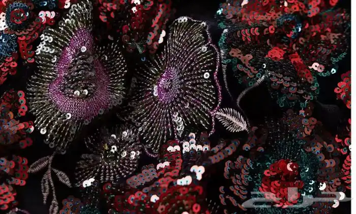 فساتين مميزه وراقية بأسعار مغريه.. 3