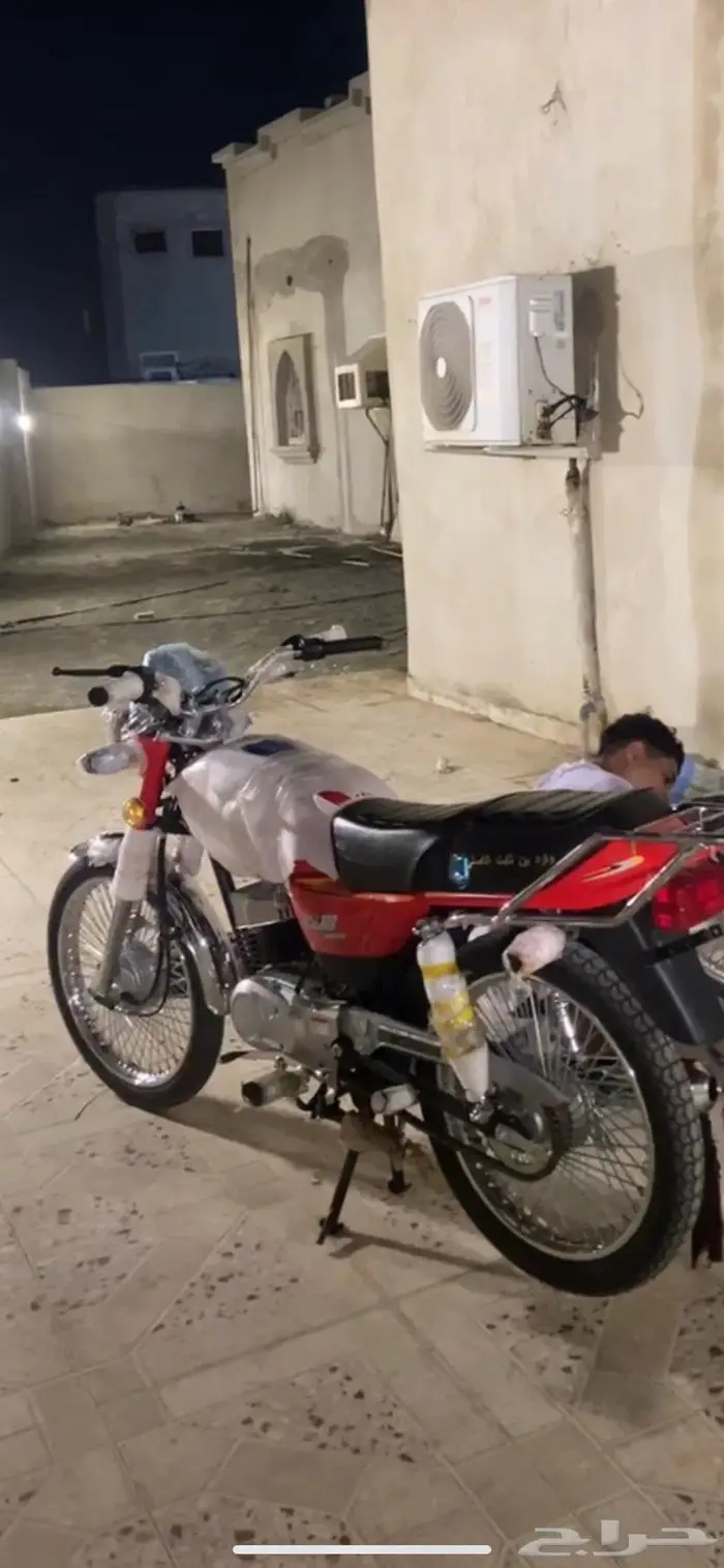 وارد بن ثابت الصلي جديد نضيف للبيع 0