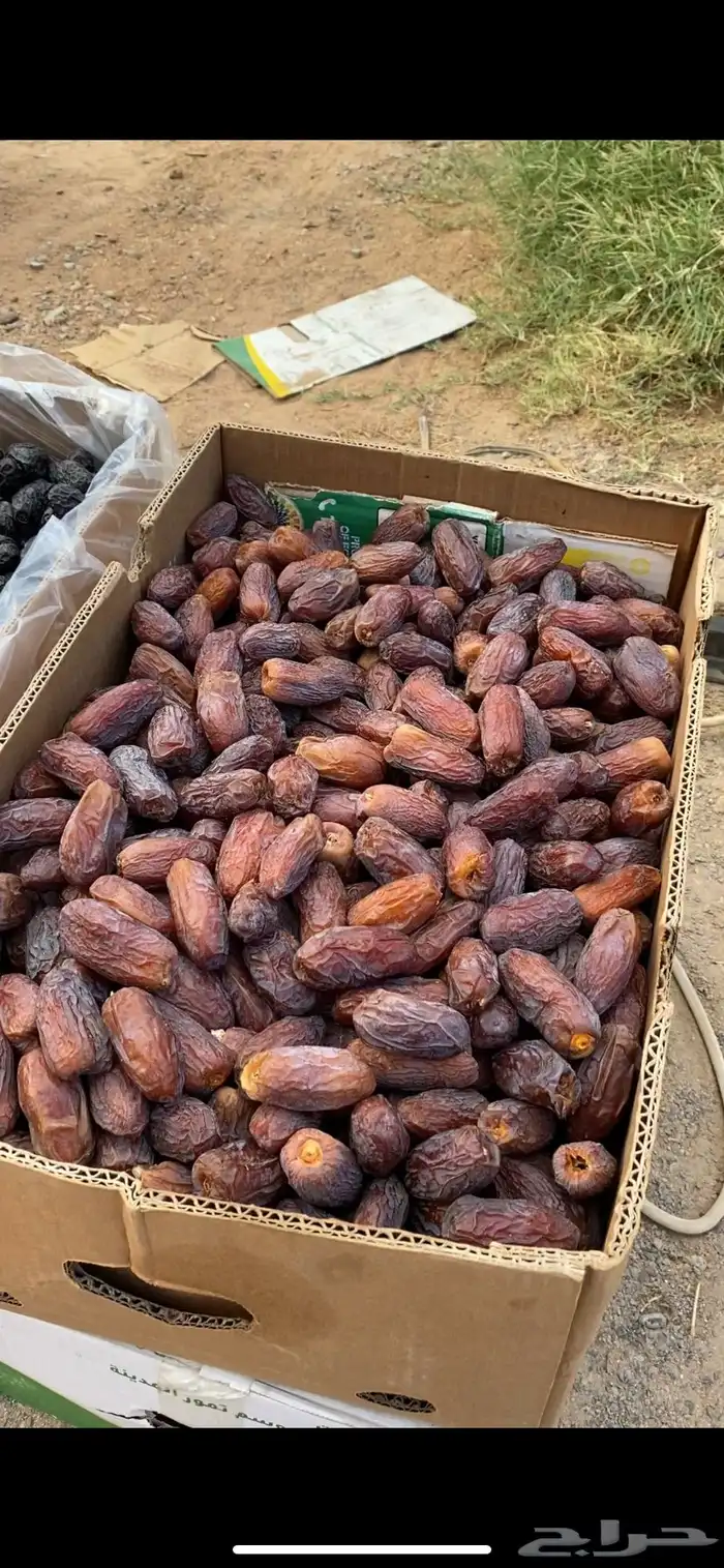 مجدول فاخر 0