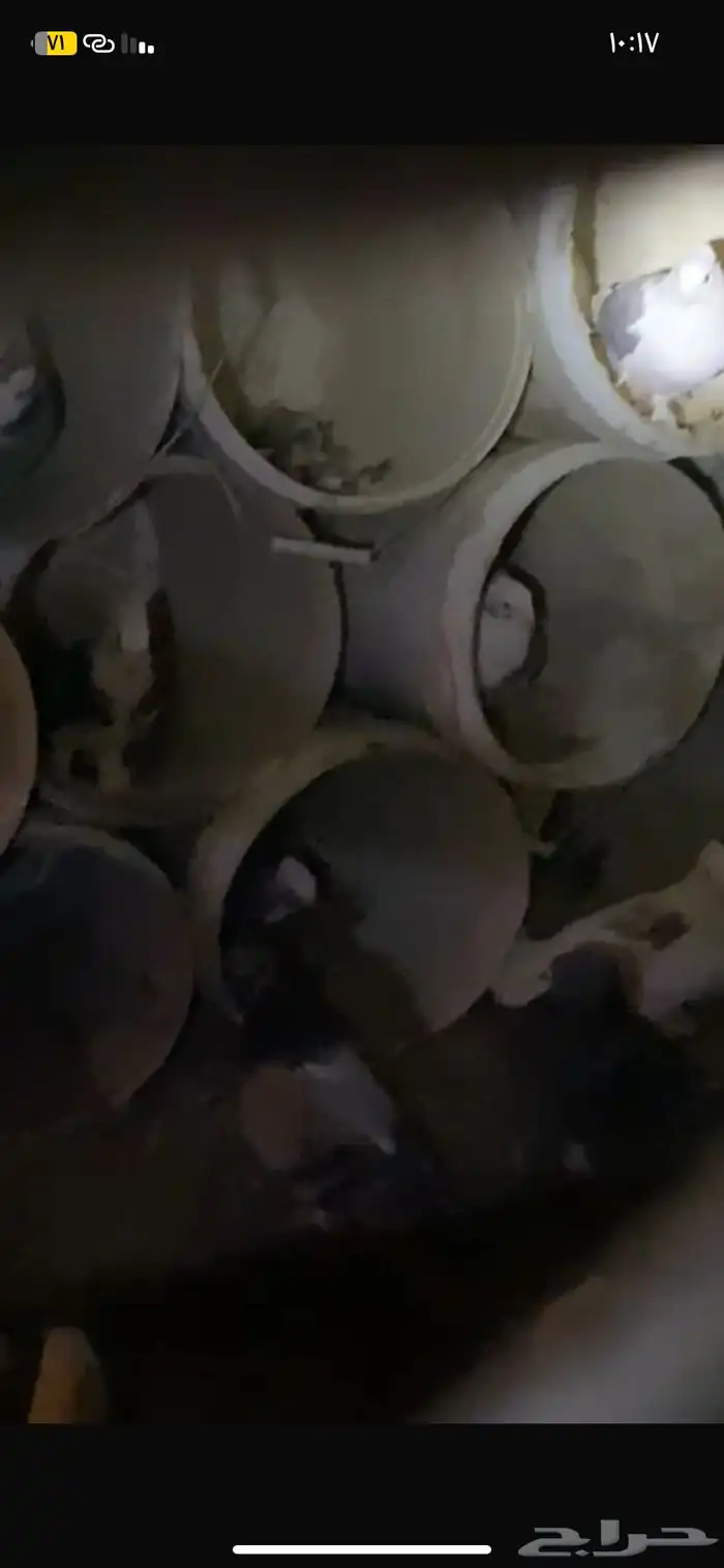 حمام كرمي وحب رمن الشراي 0