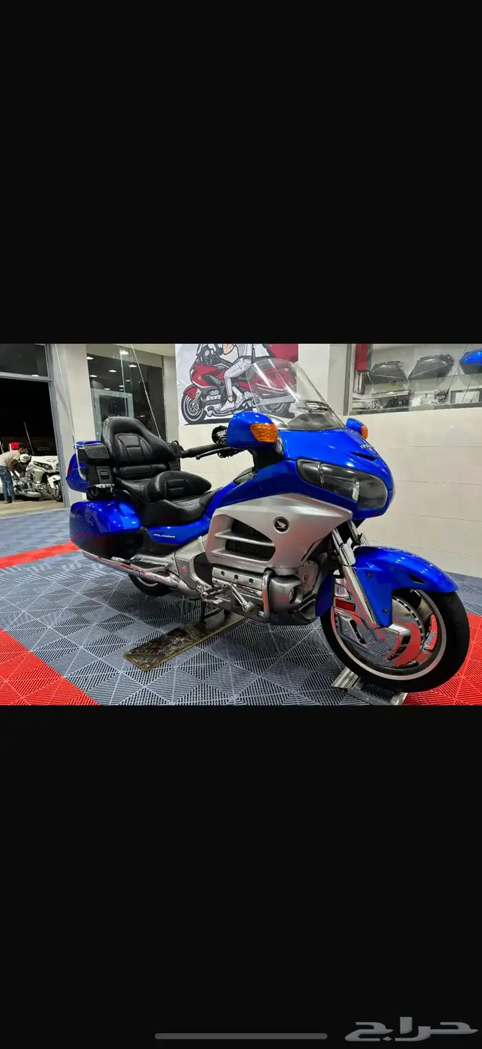 قولد وينق 2012 2