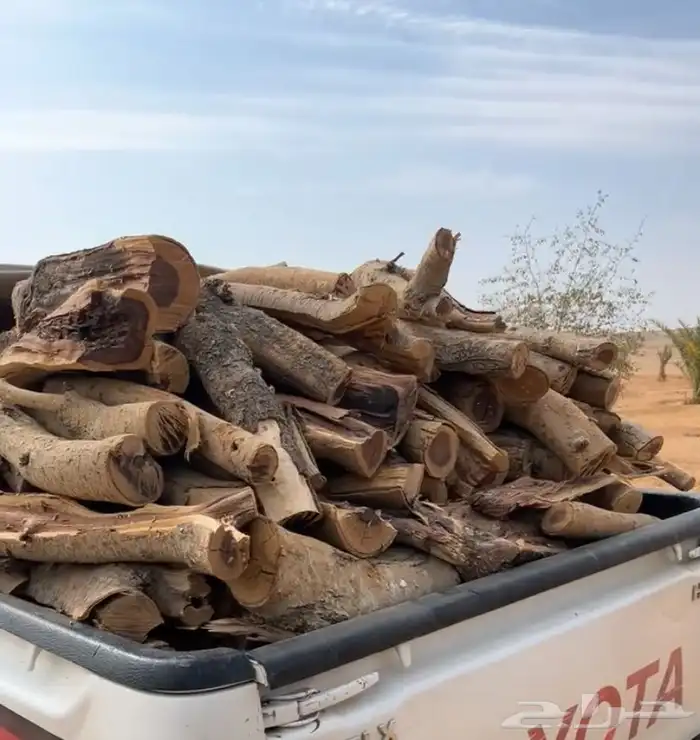 حطب مستورد 1