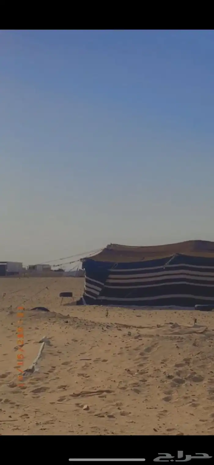 للبيع بيت شعر 2